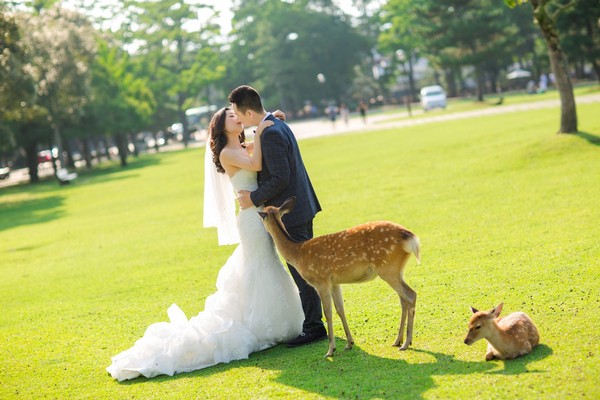 日本拍婚紗,奈良婚紗照,日本海外婚紗,奈良婚紗,旅拍婚紗,出國拍婚紗